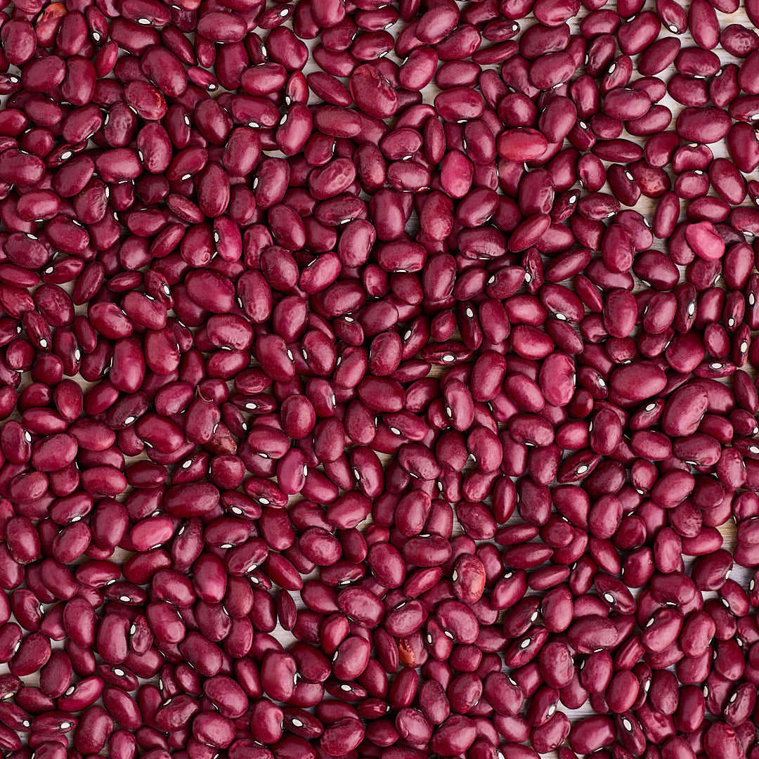 organic heirloom beans - hidatsa red beans
