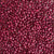 organic heirloom beans - hidatsa red beans
