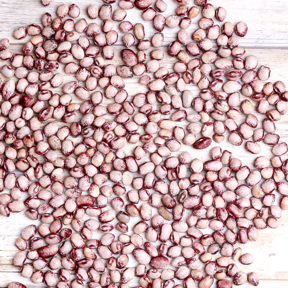 Organic Mayflower Heirloom Beans - Shop Foodocracy