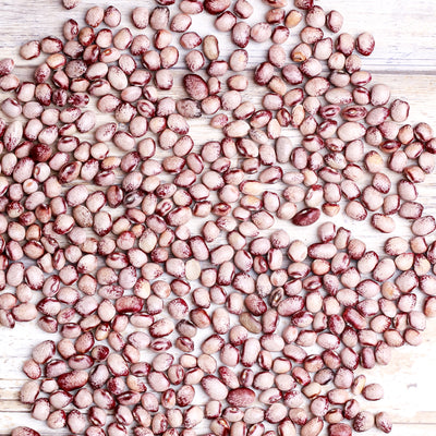 Organic Mayflower Heirloom Beans