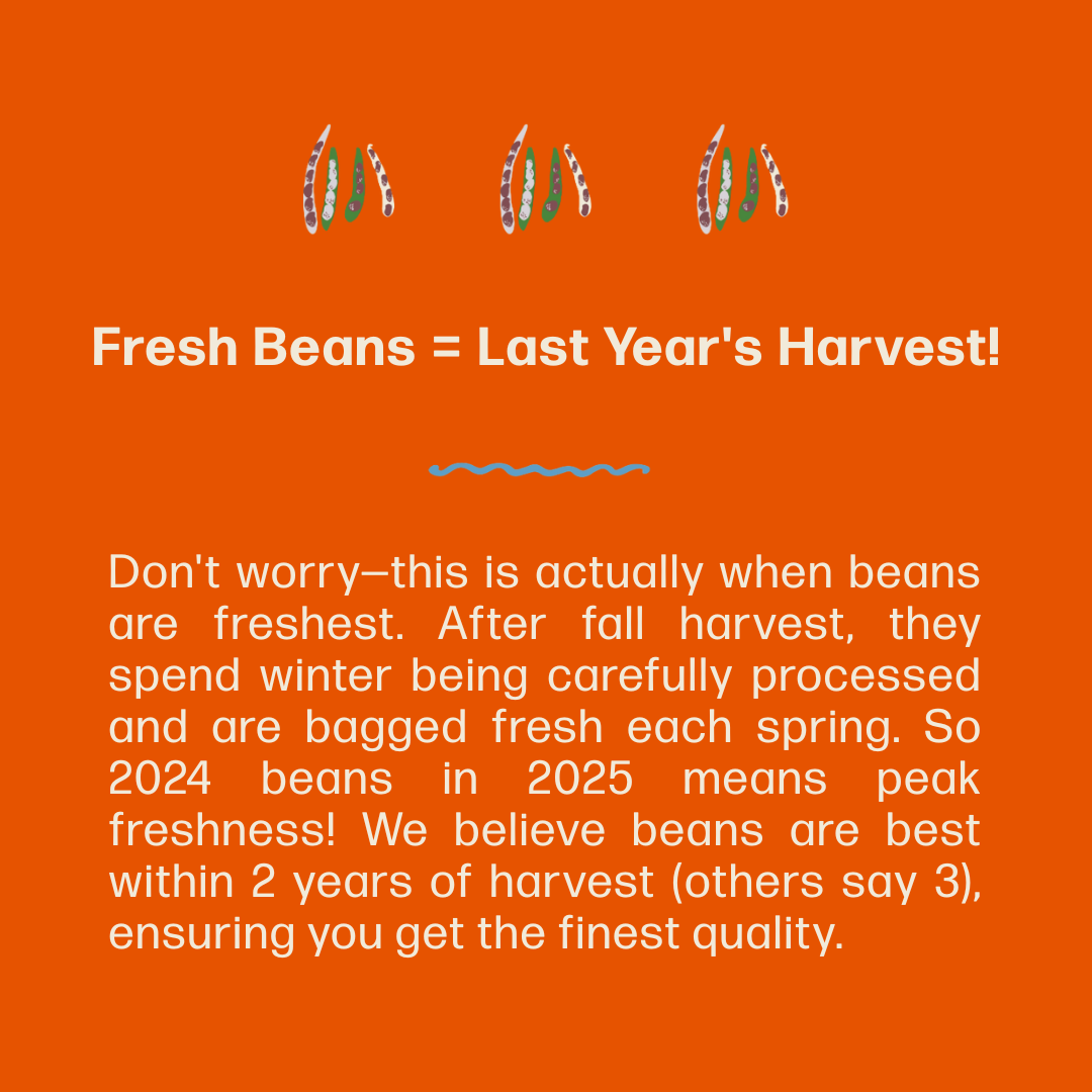 Orange background with text " Fresh Beans = last years harest! Don't worry - this is actually when eans are freshest. After fall harvest, they spend winter being carefully processed and are bagged fresh each spring. 