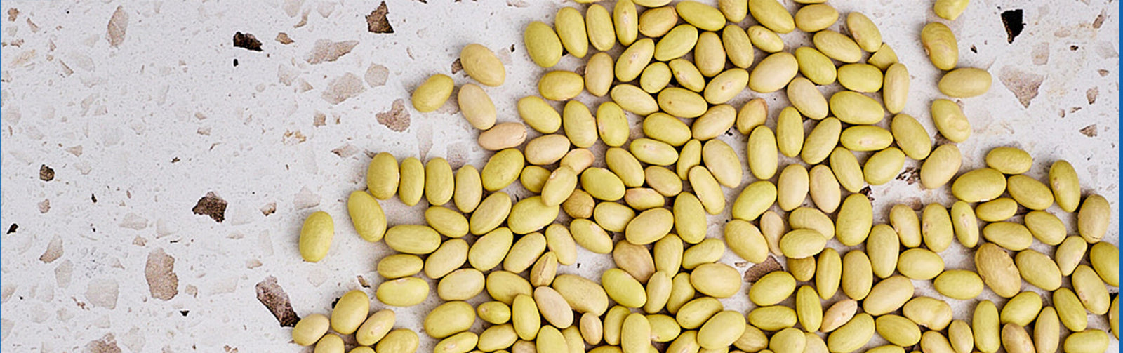 peruano heirloom beans