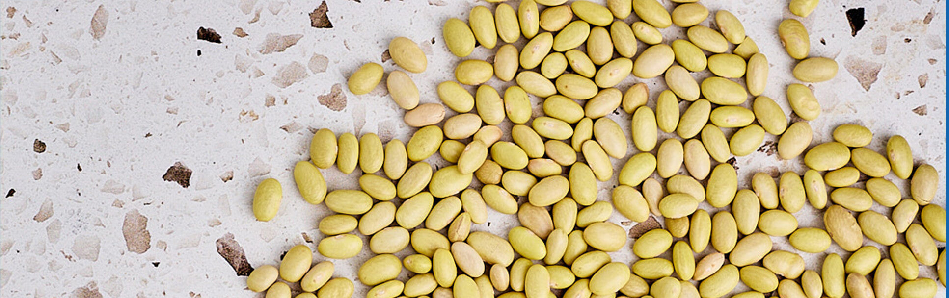 peruano heirloom beans