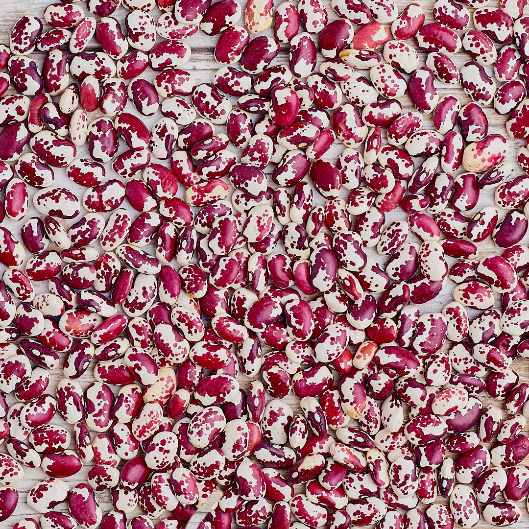 Organic Southwest Red Beans - The Foodocracy