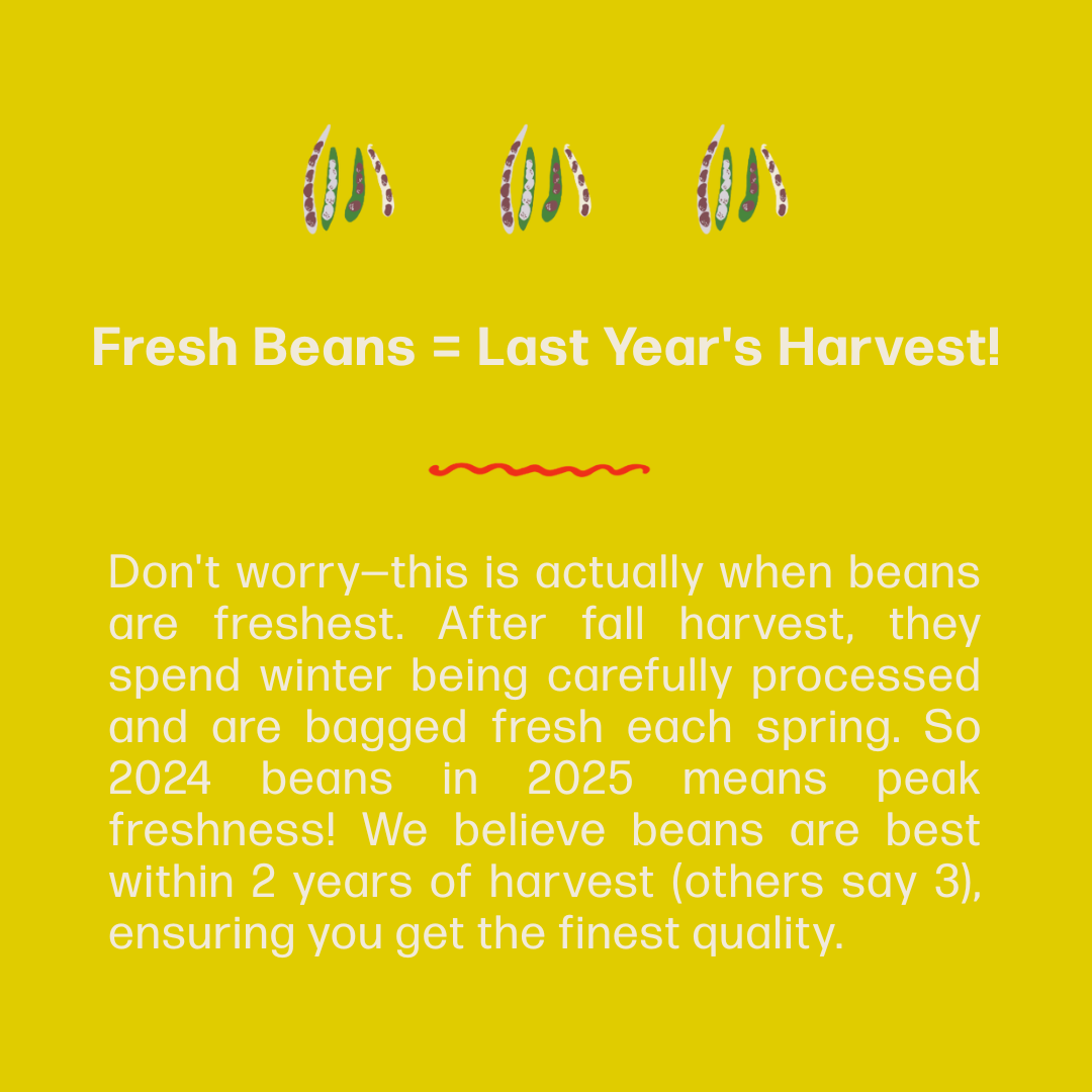 Organic Vaquita Negro Heirloom Beans - The Foodocracy
