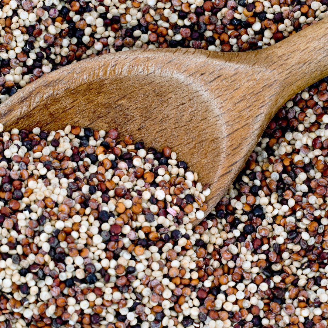 Organic Rainbow Quinoa