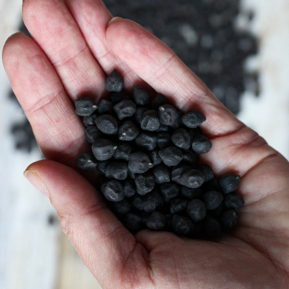 Organic Heirloom Black Garbanzo Beans