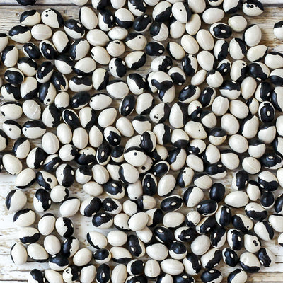Organic Calypso Beans