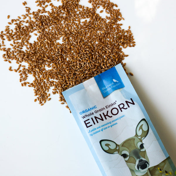Organic Einkorn Wheat Berries - 10 Lb Bag, Whole Grain, CCOF & USDA Certified 11 thumbnail image