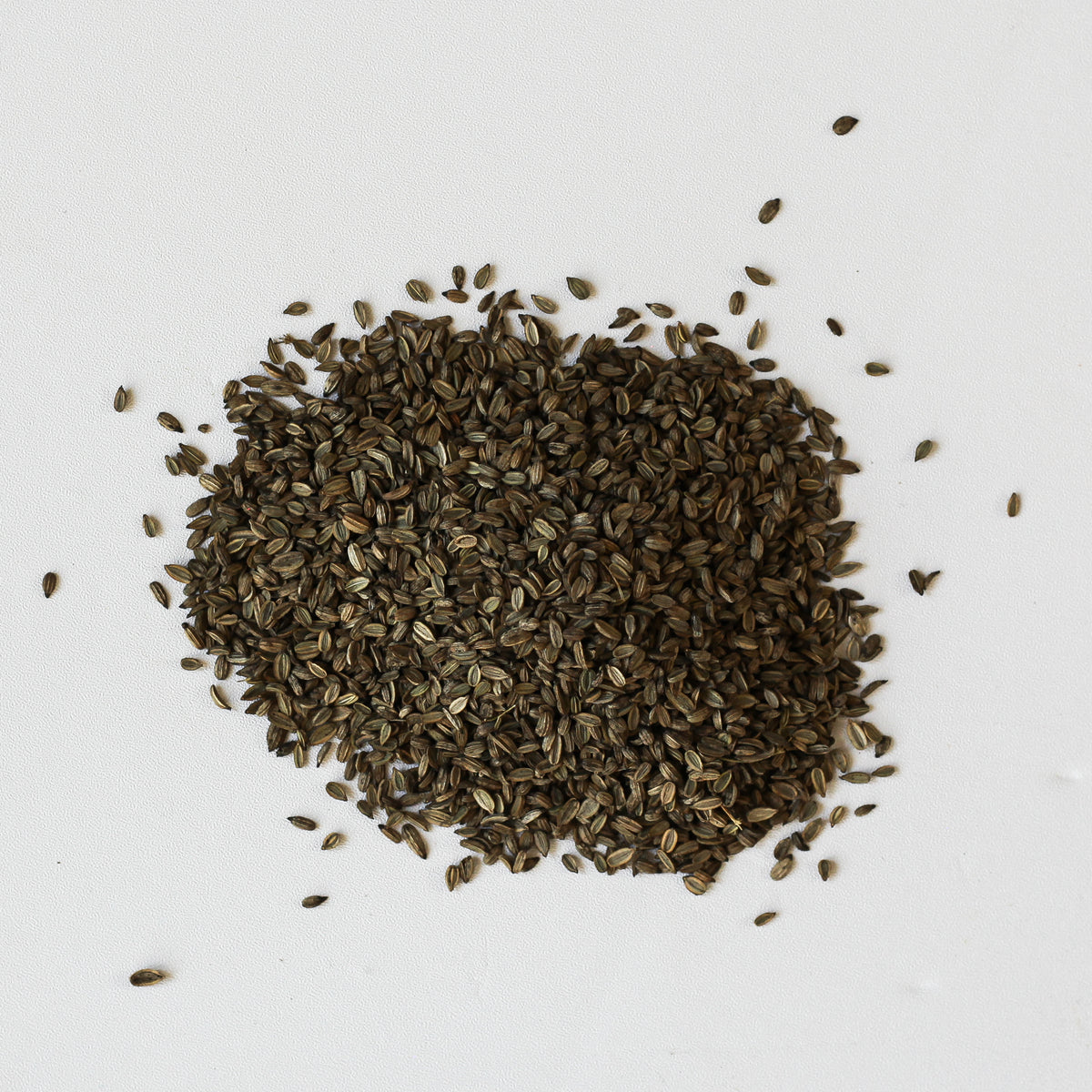 Organic Brown Fennel Seed - Shop Foodocracy