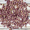 Organic Flor de Junio Heirloom Beans