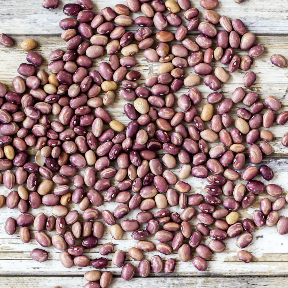 Organic Flor de Junio Heirloom Beans - Shop Foodocracy