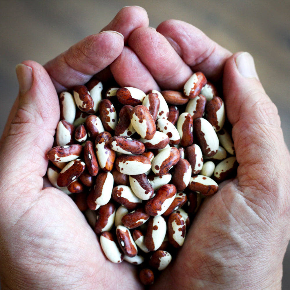 Heirloom Bean and Grain Of The Month Gift Subscription - Shop Foodocracy