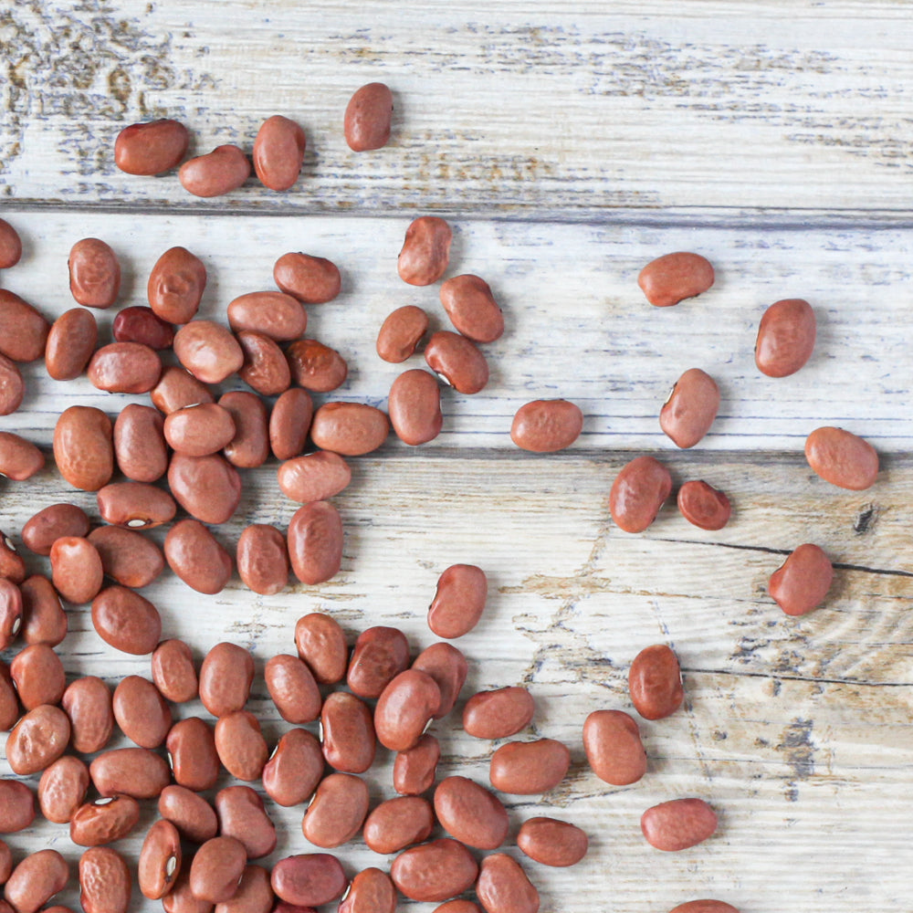 Organic King City Pink Heirloom Beans - Shop Foodocracy