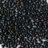 oaxacan black beans