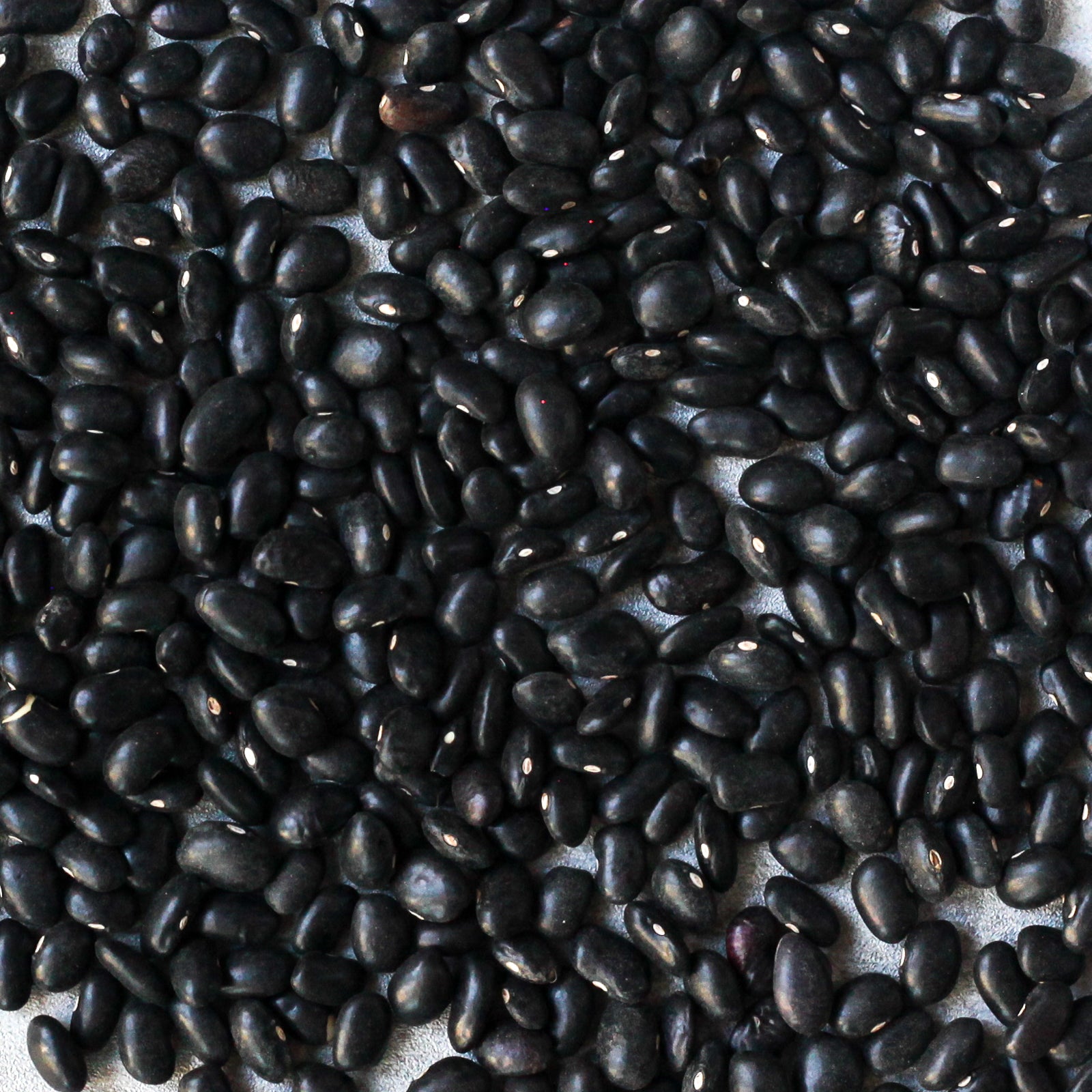 Organic Oaxacan Black Beans - Shop Foodocracy