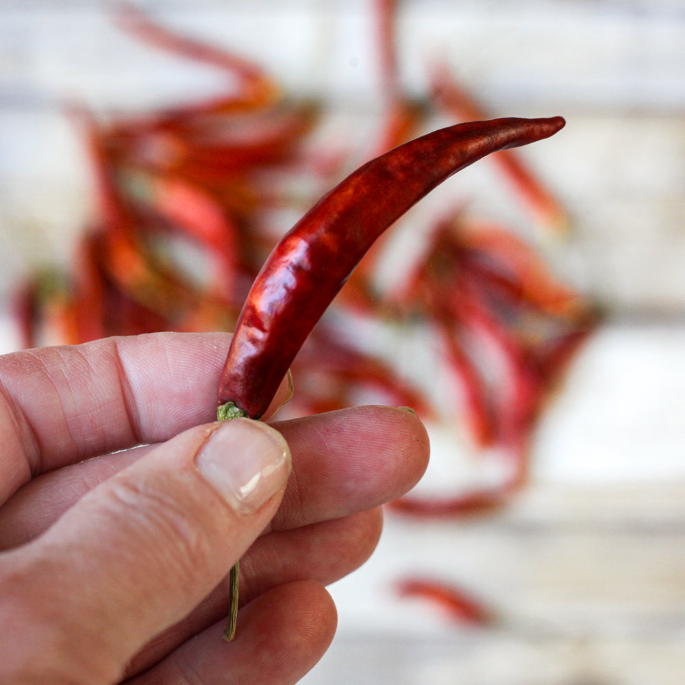 Whole Dried Yahualica Chile Peppers - Shop Foodocracy